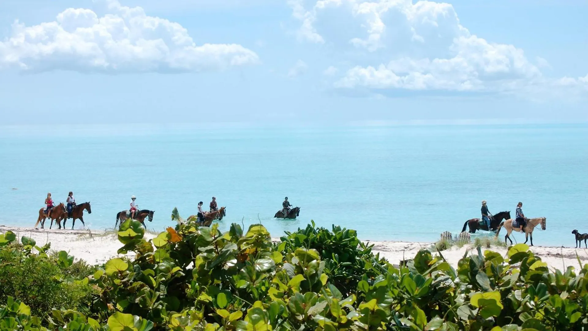Esencia Cottage Long Bay Turks og Caicos Islands